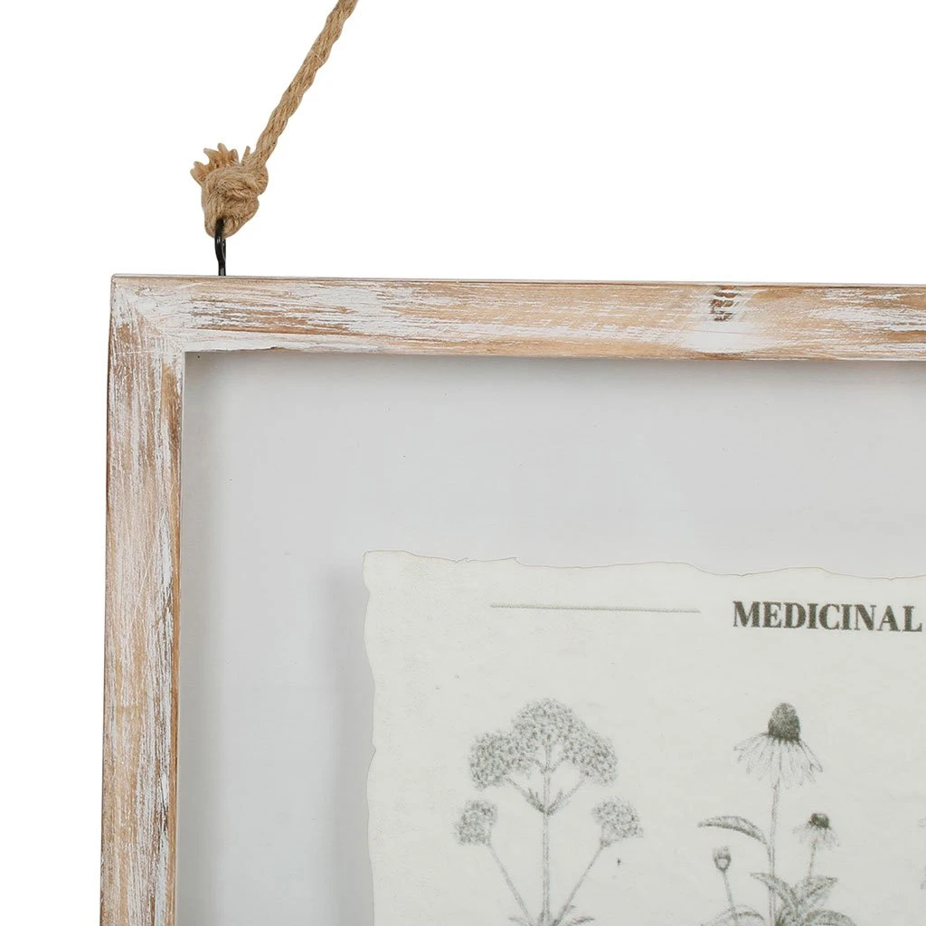 Comptoir De Famille Cadre Deco Plante Medicinal Blanchi 33x38cm 4 Comptoir De Famille Cadre Deco Plante Medicinal Blanchi 33x38cm – Image 2