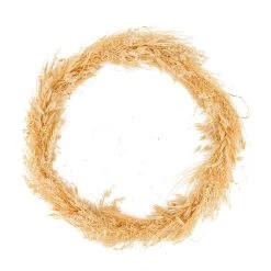 Dijk Couronne De Fleurs Sechees D37x3cm